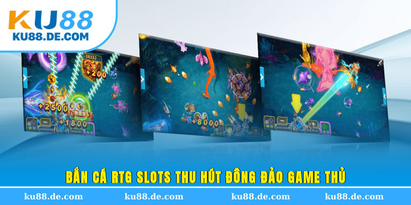 Bắn cá RTG Slots thu hút đông đảo game thủ