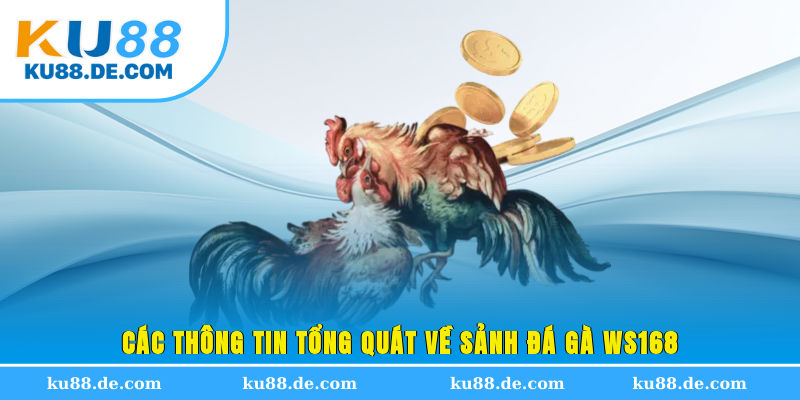 Các thông tin tổng quát về sảnh đá gà WS168