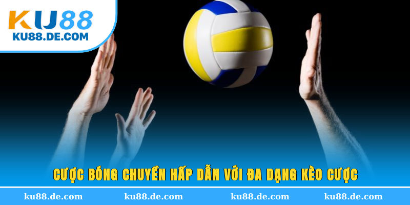Cược bóng chuyền hấp dẫn với đa dạng kèo cược