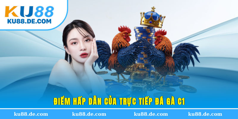 Điểm hấp dẫn của trực tiếp đá gà C1