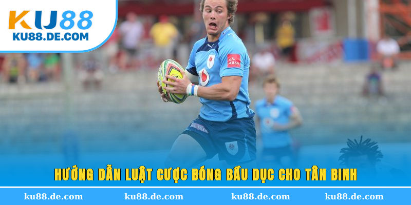 Hướng dẫn luật cược bóng bầu dục cho tân binh