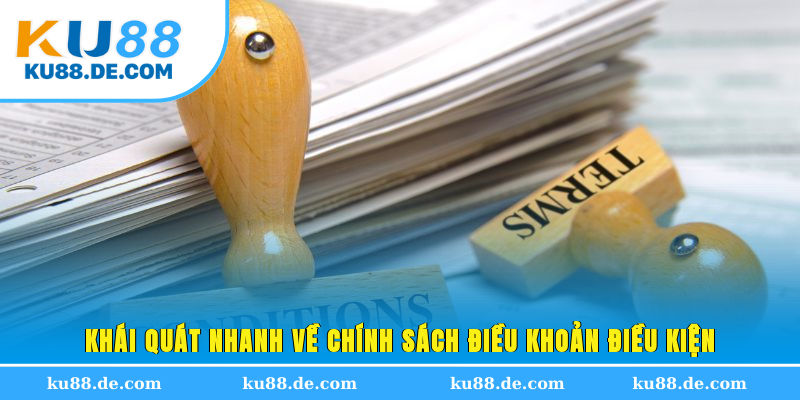 Khái quát nhanh về chính sách điều khoản điều kiện
