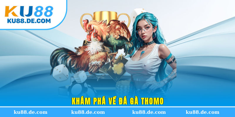 Khám phá về đá gà Thomo