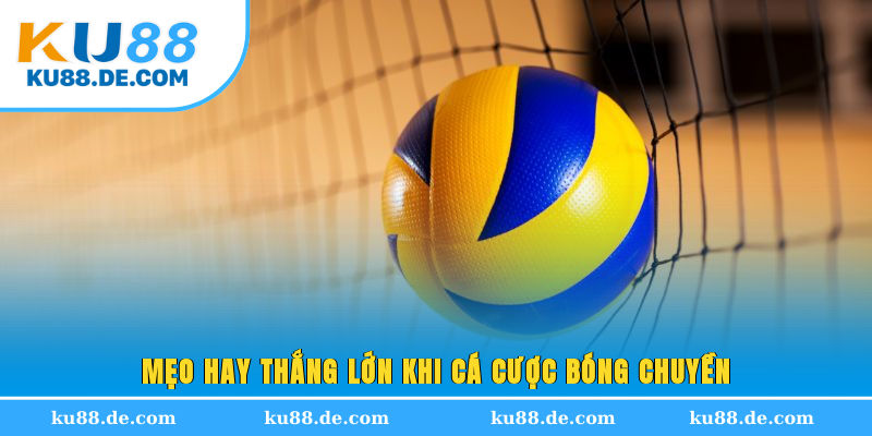 Mẹo hay thắng lớn khi cá cược bóng chuyền