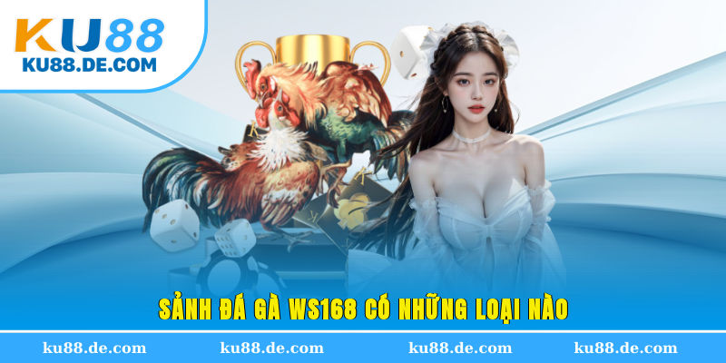 Sảnh đá gà WS168 có những loại nào?