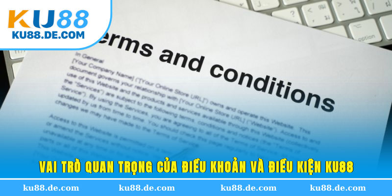 Vai trò quan trọng của điều khoản và điều kiện KU88