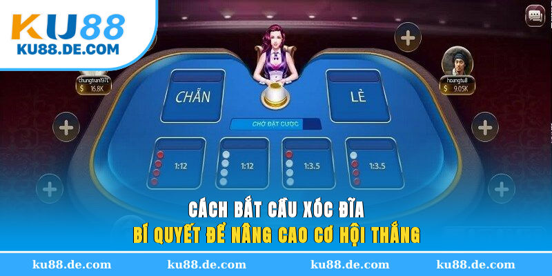 cach-bat-cau-xoc-dia